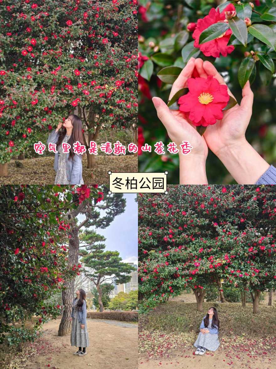 稿定设计-4 稿定设计-4