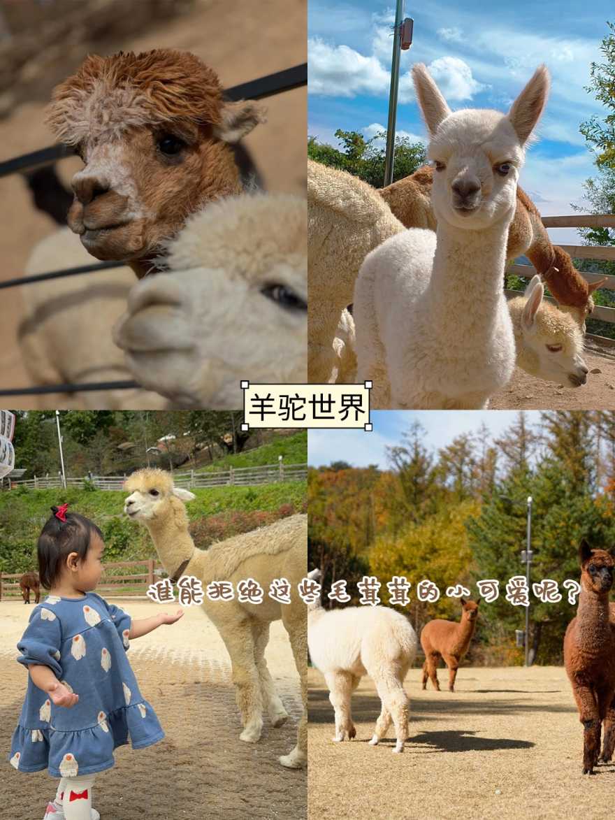 稿定设计-8