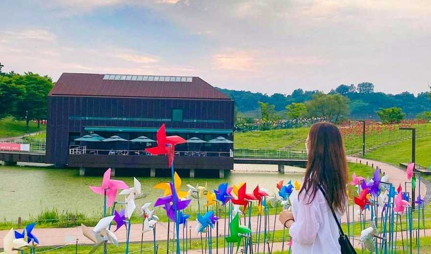 京畿道坡州DMZ一日游，探秘韩朝非武装地带