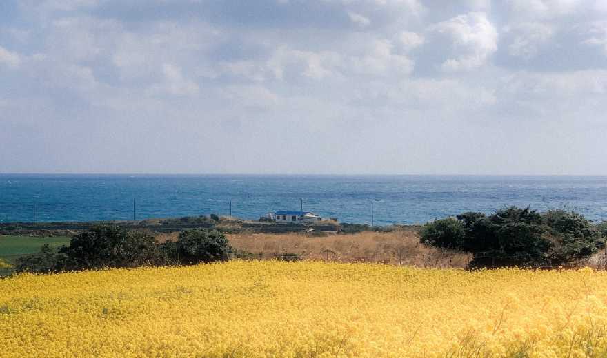 济州牛岛&城山日出峰&韩剧拍摄地一日游攻略